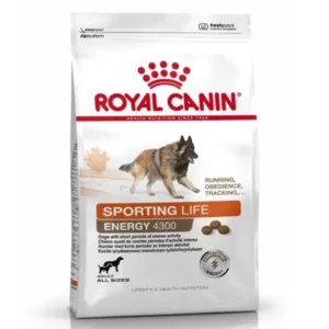 Royal Canin - Croquette Chien - Sporting