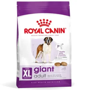 Royal Canin - Croquette Chien - Adult Giant