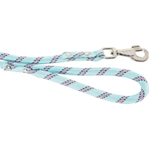 Zolux - Laisse en Nylon Corde Turquoise