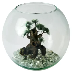 Zolux - Aquarium Poisson Boule Soufflée