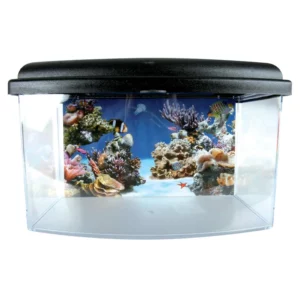 Zolux - Aquarium Poisson Bac de Transport