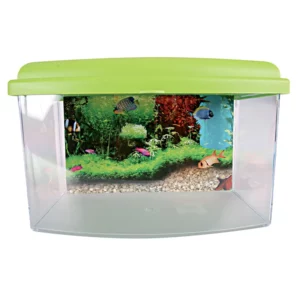 Zolux - Aquarium Poisson Bac de Transport