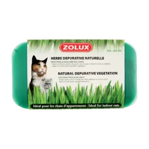 Zolux - Herbe à Chat Dépurative Naturelle