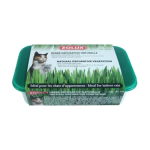 Zolux - Herbe à Chat Dépurative Naturelle