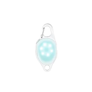Bijou LED Rechargeable Blanc pour Chien