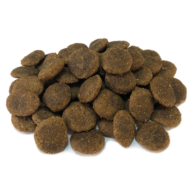 arquivet-croquette-top-qualité-animal-city-au-monde-des-animaux-la-reunion-974-GRAIN FREE – Croquettes pour chiens adults – Dinde avec légumes- 2 kg-3 arquivet-croquette-top-qualité-animal-city-au-monde-des-animaux-la-reunion-974-GRAIN FREE – Croquettes pour chiens adults – Dinde avec légumes- 2 kg-3