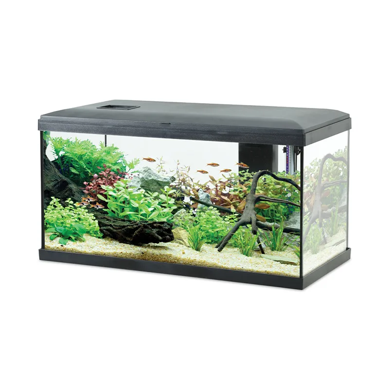 Zolux - Kit Aquarium Initio Noir