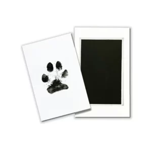 Panda Source - Tampons pour Empreinte
