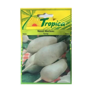 Tropica - Navet Marteau