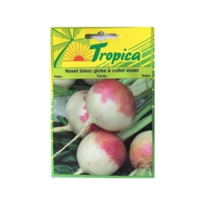 Tropica - Navet Blanc Globe à Collet Violet