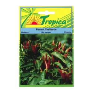 Tropica - Piment Thailande