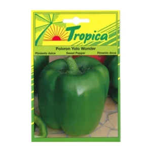 Tropica - Poivron Yolo Wonder