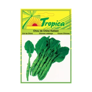 Tropica - Chou de Chine Kailaan