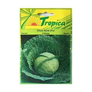 Tropica - Chou Acre d'Or