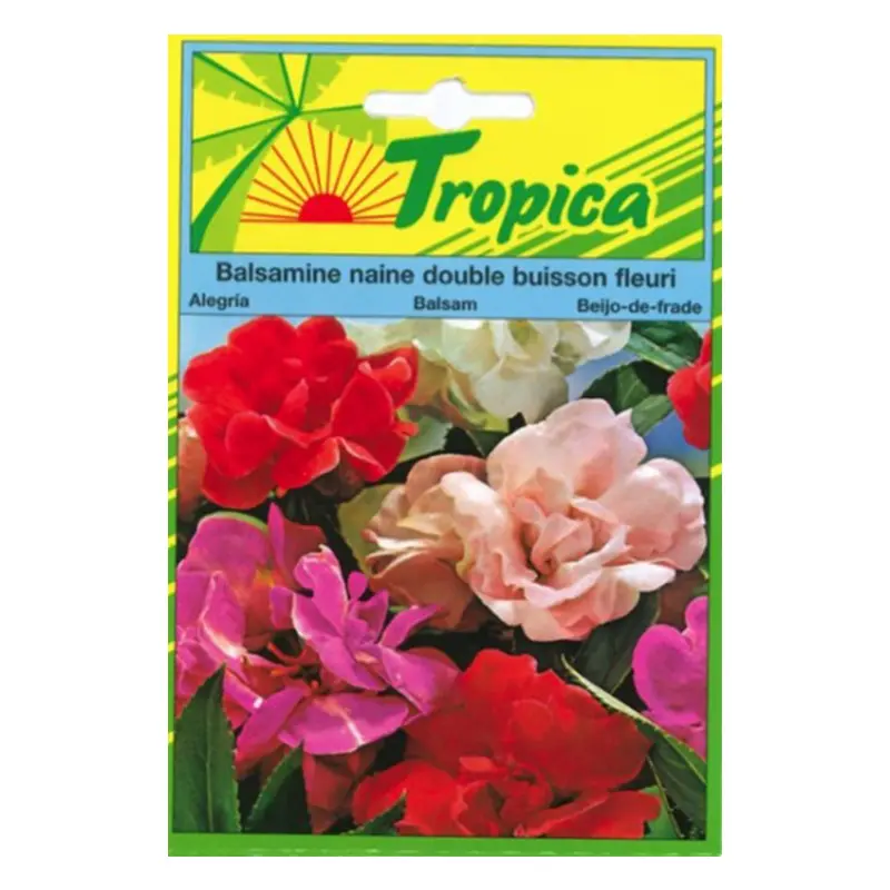 Tropica - Balsamine Double Naine Graines de Fleurs Décoratives