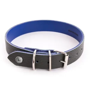 Martin Sellier - Collier Allure T40 Kaki - Bleu