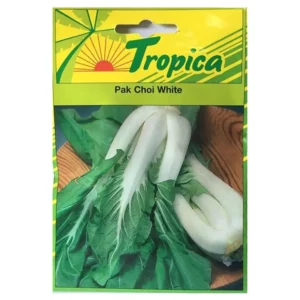 TROPICA - Graines Chou de Chine Pak Choi White pour Potager