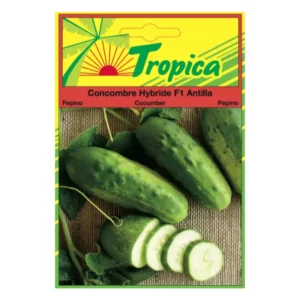 TROPICA - Graines Concombre F1 Antilla Potager