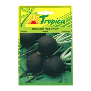 TROPICA - Graines de Radis Noir Rond d’Hiver pour Jardin & Potager