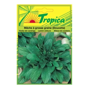 TROPICA - Mâche Doucette Tropica pour Potager