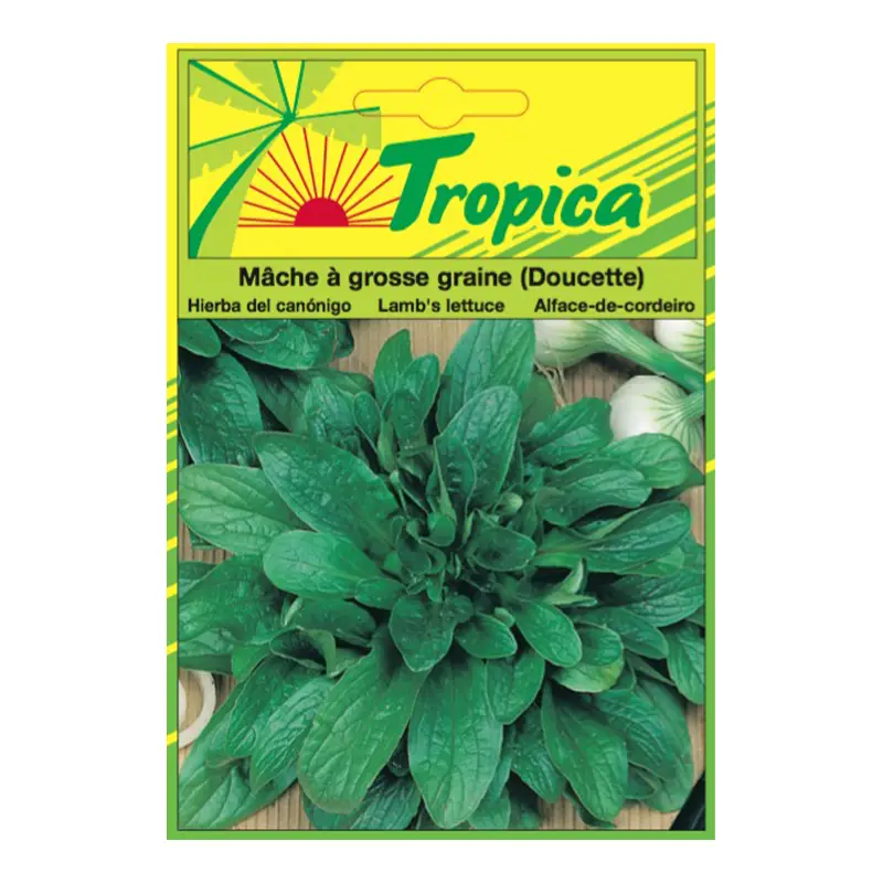 TROPICA - Mâche Doucette Tropica pour Potager