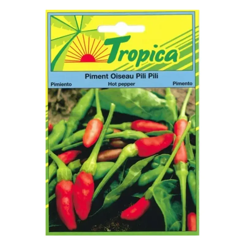TROPICA – Piment Oiseau Pili Pili Graines Pour Potager