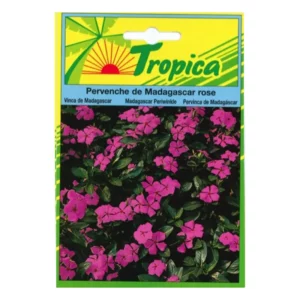 TROPICA - Graines Pervenche De Madagascar Rose Jardin