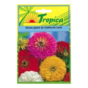 TROPICA - Graines de Zinnia Géant de Californie Varié