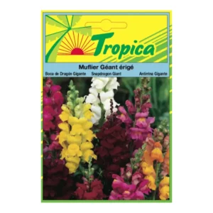 TROPICA - Graines de Muflier Géant Érigé Varié