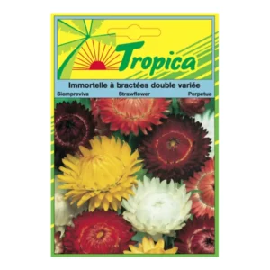 TROPICA - Graines Immortelle à Bractées Double Variée