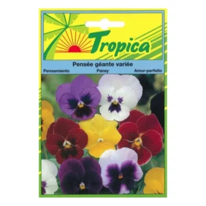 TROPICA - Graines Pensées Fleurs Jardin