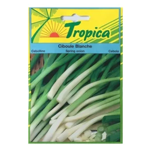 TROPICA - Ciboule Blanche pour Jardin & Potager