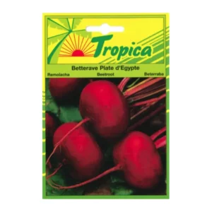 TROPICA - Graines de Betterave Plate d’Egypte pour Jardin & Potager