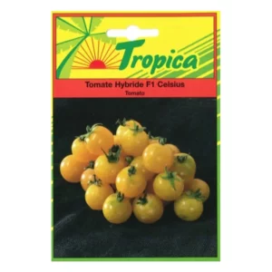 TROPICA - Tomate F1 Celsius Tropica Graines Pour Potager