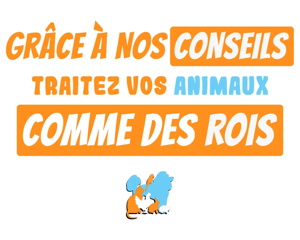 Grâce à nos conseils, traitez vos animaux comme des rois.