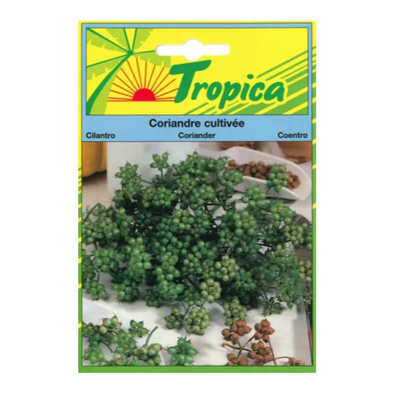 TROPICA - Graines Coriandre Cultivée Jardin