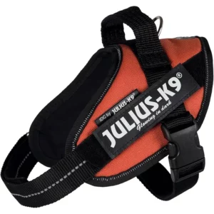 Julius K9  | Harnais IDC – orange kor– Mini-Mini