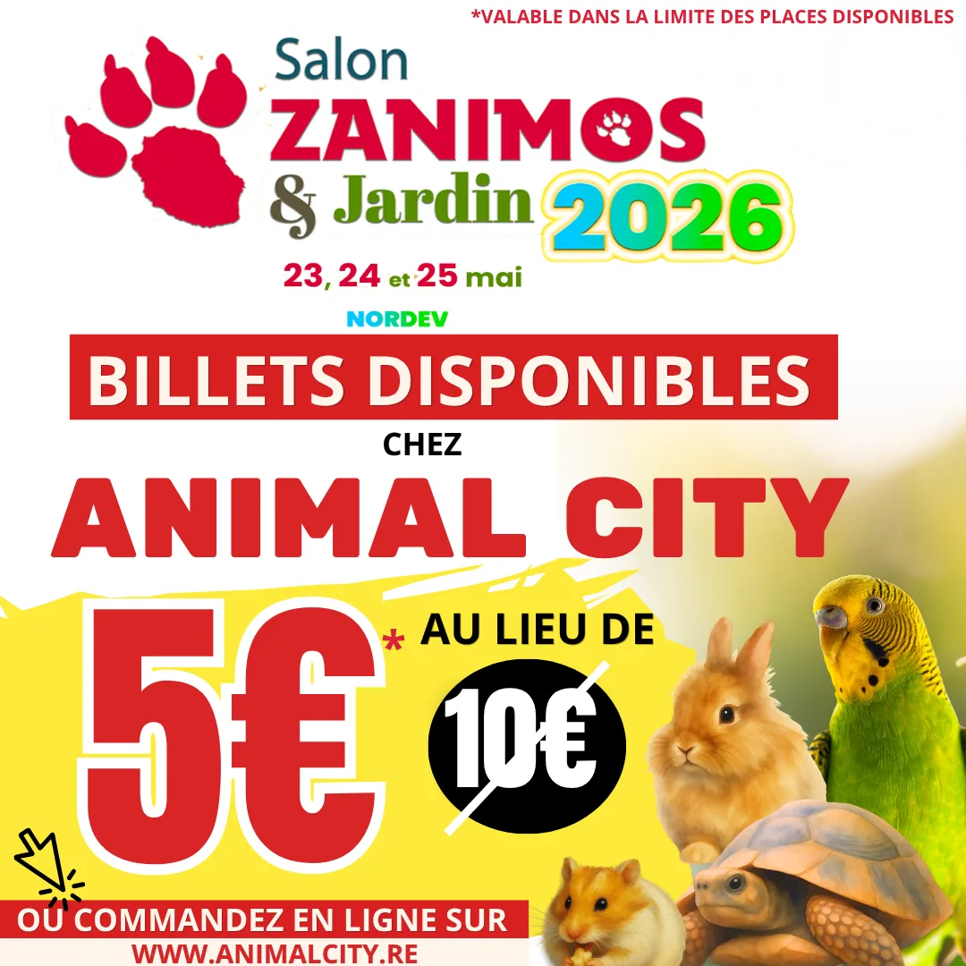 Prévente Billet Zanimos 2026