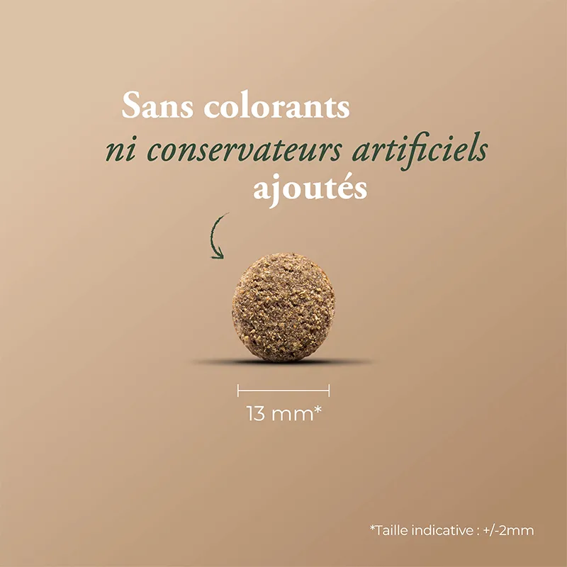 Wolfood Adult Light Control – Croquettes allégées pour chien adulte – 3 kg-2 Wolfood Adult Light Control – Croquettes allégées pour chien adulte – 3 kg-2