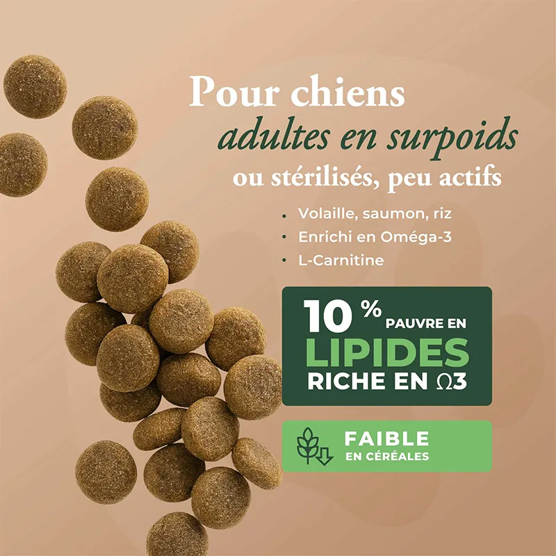 Wolfood Adult Light Control – Croquettes allégées pour chien adulte – 3 kg-3 Wolfood Adult Light Control – Croquettes allégées pour chien adulte – 3 kg-3