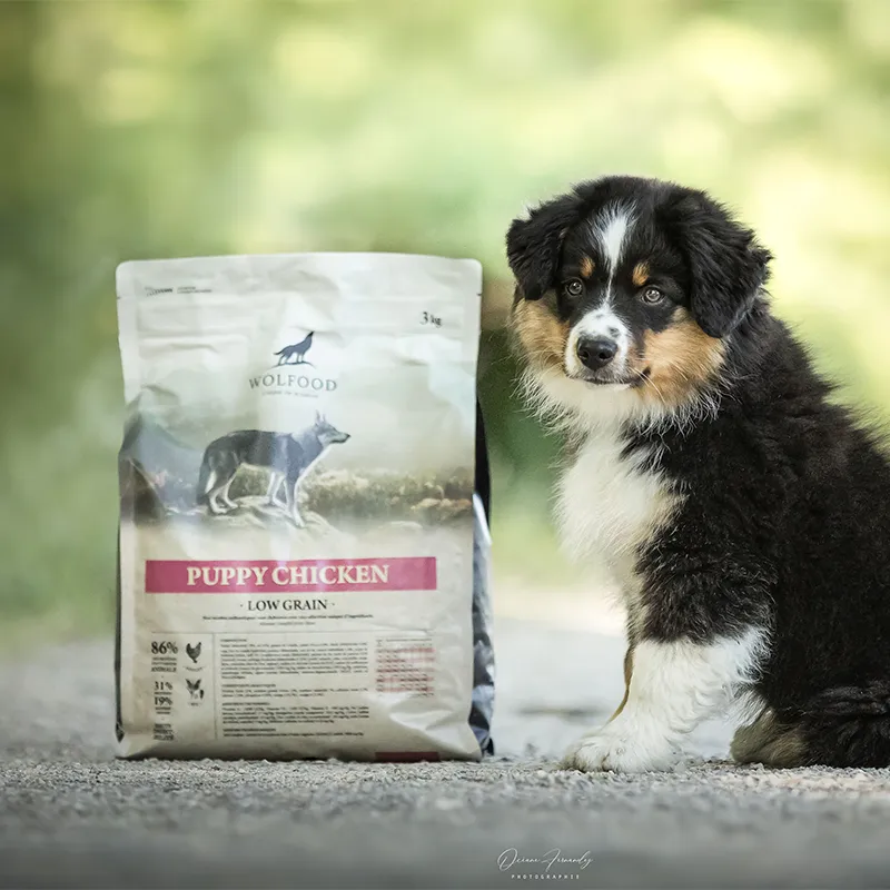 Wolfood Puppy Chicken – Croquettes au poulet pour chiot – 3 kg-3 Wolfood Puppy Chicken – Croquettes au poulet pour chiot – 3 kg-3